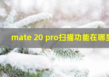 mate 20 pro扫描功能在哪里